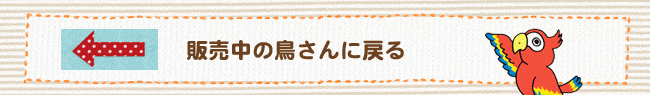 販売中の鳥さんに戻る