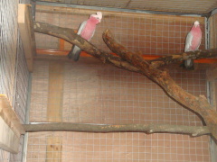 DSC03769